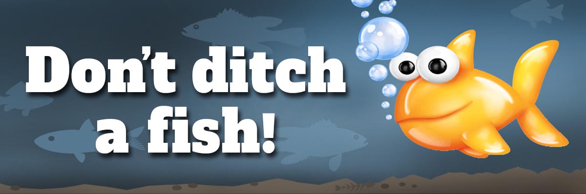 Don't ditch a fish!