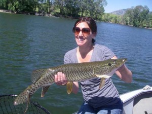 muskie_photo_web