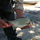 Hungry fish, vibrant scenery and cool weather