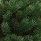 Don’t toss your tree: help local wildlife