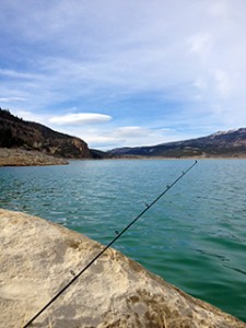 Shore_fishing