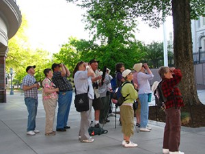 A group of birders observes an adult peregrine falcon during last year's Great Salt Lake Bird Festival.