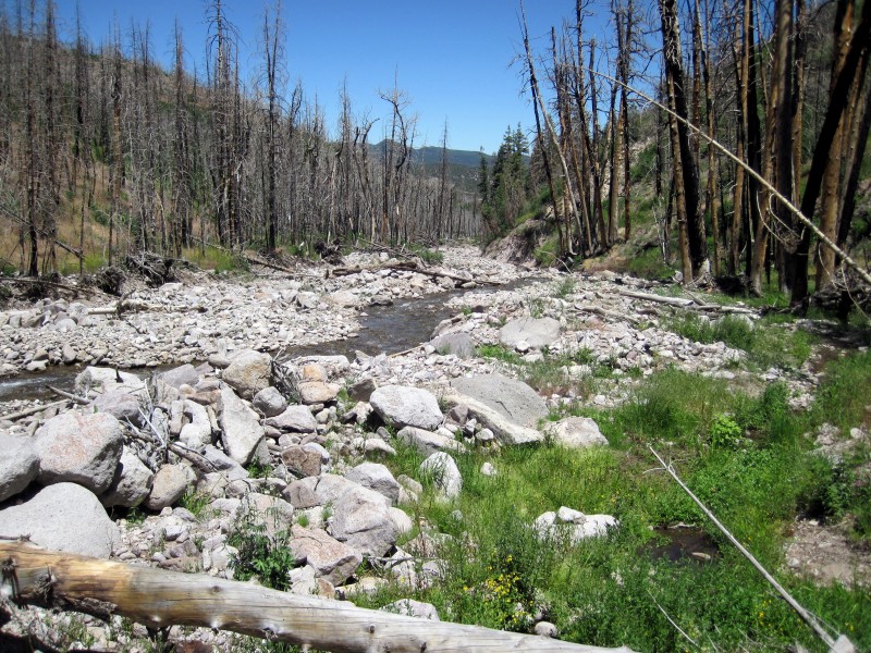 Shingle Creek, a tributary of Clear Creek, after the Twitchell Fire. Photo courtesy of Colton Finch.