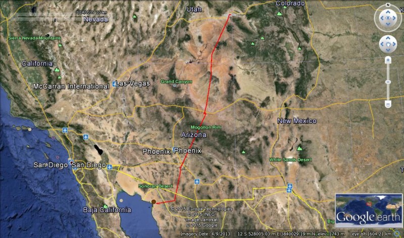 The red line shows the migration route of one of the burrowing owls we fitted with a transmitter backpack.