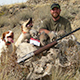 Top 5 reasons to hunt upland game in Utah