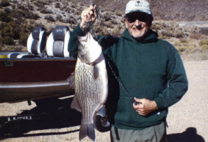 Tom Bellomo set the new Utah wiper record on Oct. 31, 2015. This 11-pound 14-ounce lunker came out of Newcastle.