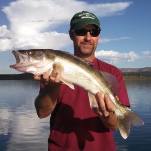 Pat's Picks for Utah Walleye 