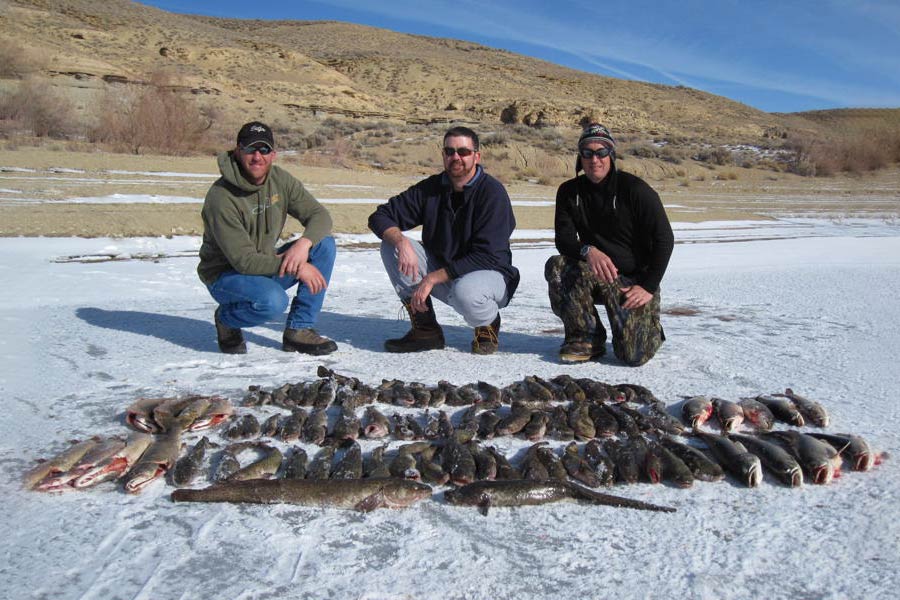 A night&apos;s worth of burbot and lake trout