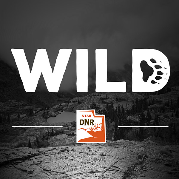 Logo of the &quote;Wild&quote; podcast series