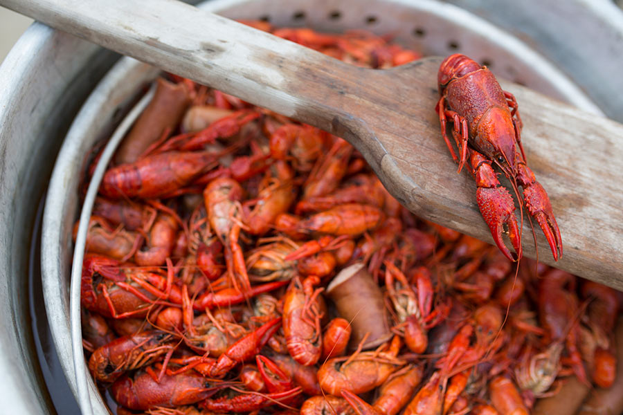 Boiled crayfish