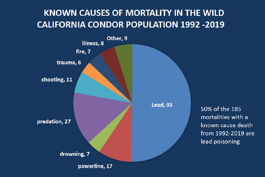 California condor mortality chart