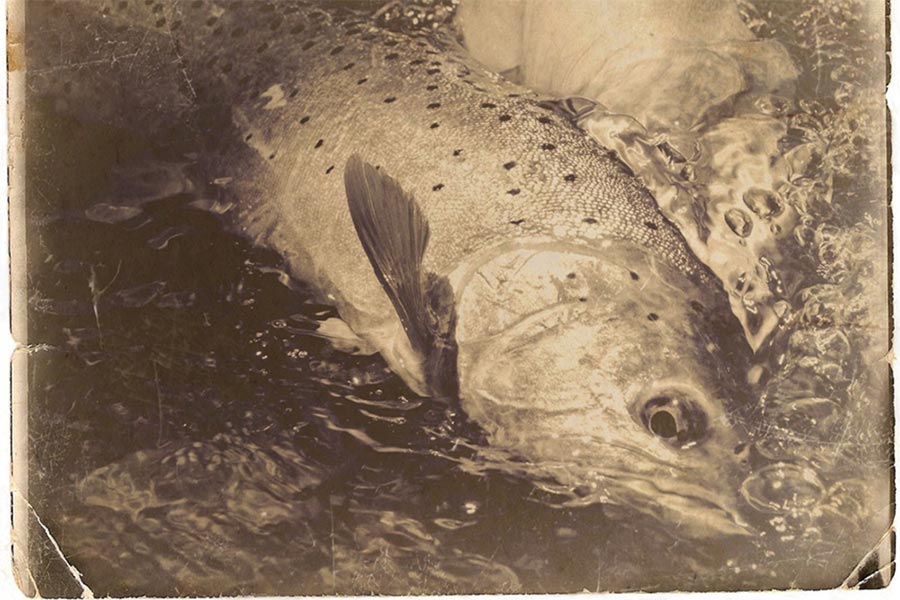 History of Utah&apos;s native fish