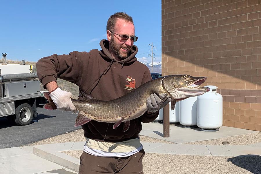 Chad holding a tiger muskie