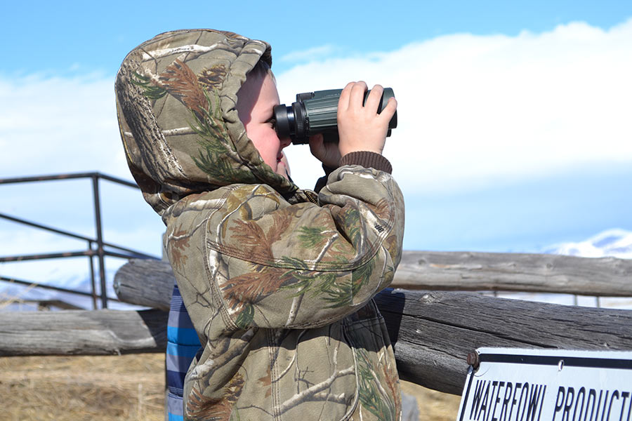 Birdwatching boy with binoculars