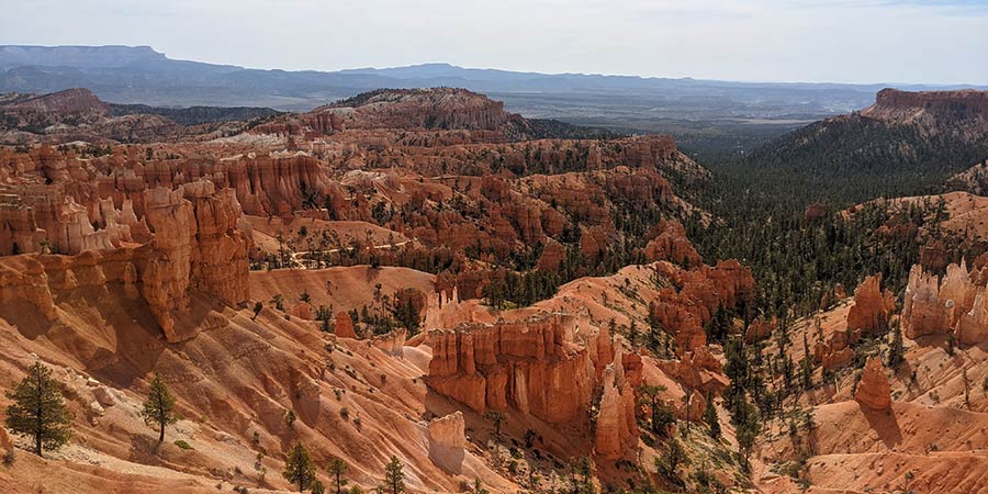 Panoramic view of Bryce Canyon, showing red cliffs and trees