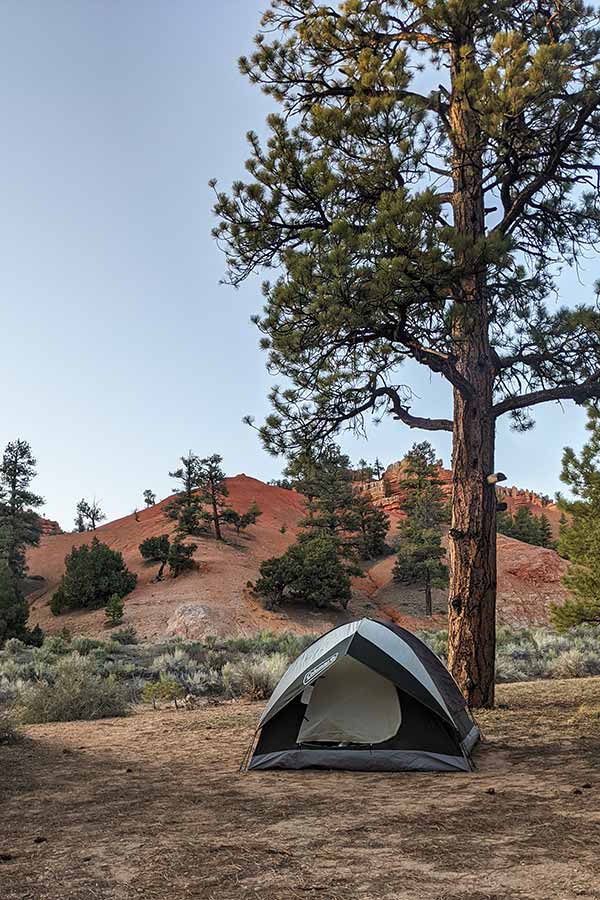 A tent pitched by a tree in Dixie National Forest