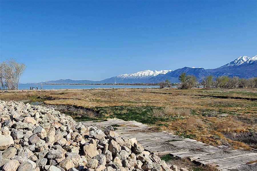 View of rocks and grass on the Bonneville Shoreline Trail, near Utah Lake