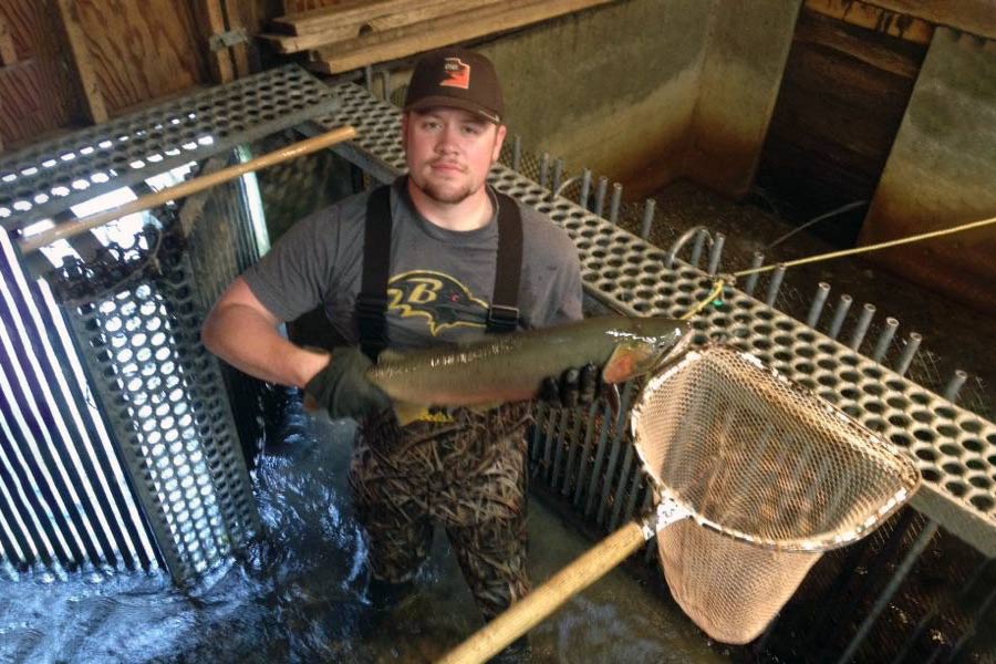 https://wildlife.utah.gov/blog_photos/2022-09-09-fish-trap.jpg