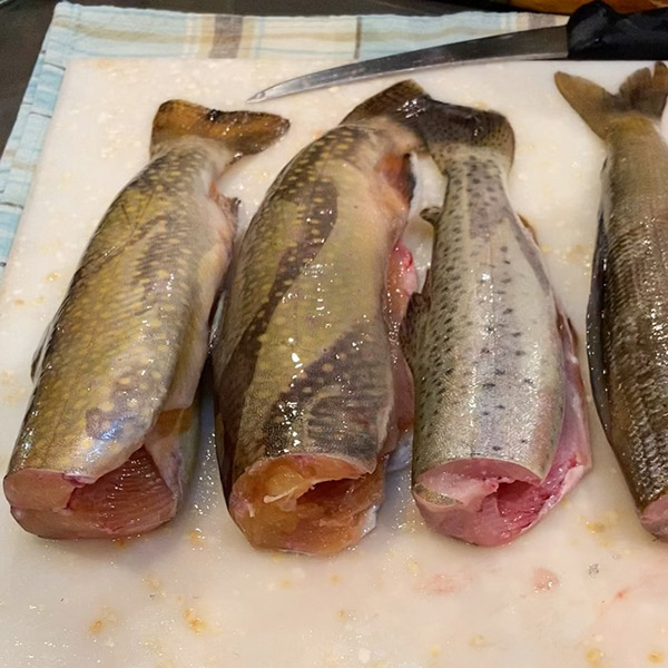 Several headless gutted trout lying on a cutting board