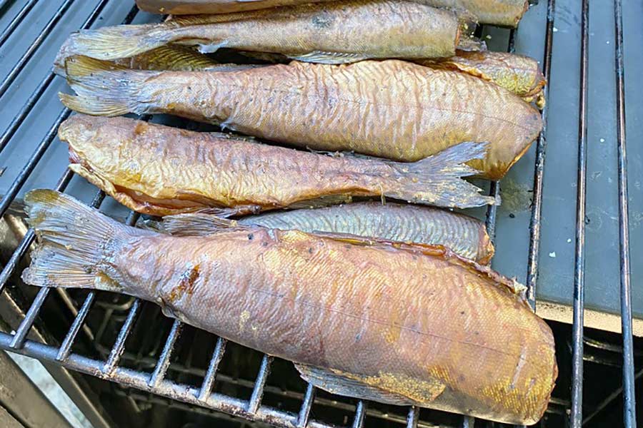 Several smoked trout on a grill