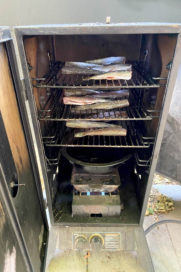 Several trout lying on rows of grills in a smoker