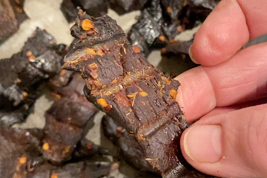 Hand holding a piece of spicy teriyaki goose jerky