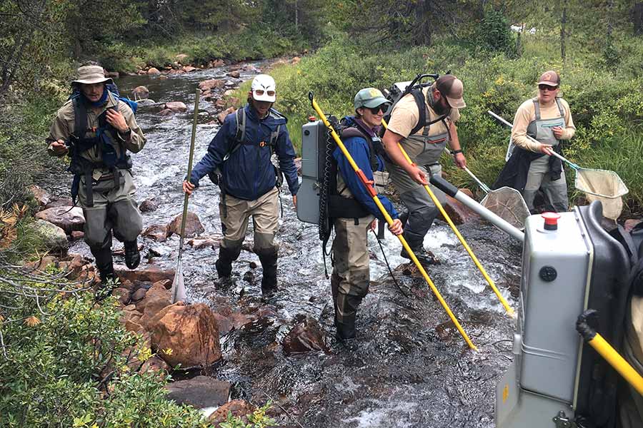 DWR employees walking through Reader Creek and treating the water with rotenone