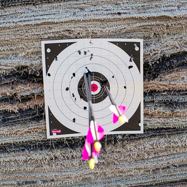 Bullseye target with several arrows