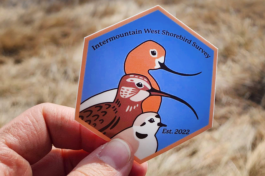 Intermountain West Shorebird Survey