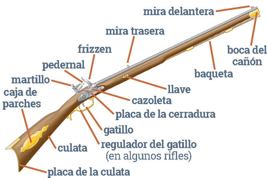 Diagrama de un rifle de chispa de avancarga, que muestra todos los componentes