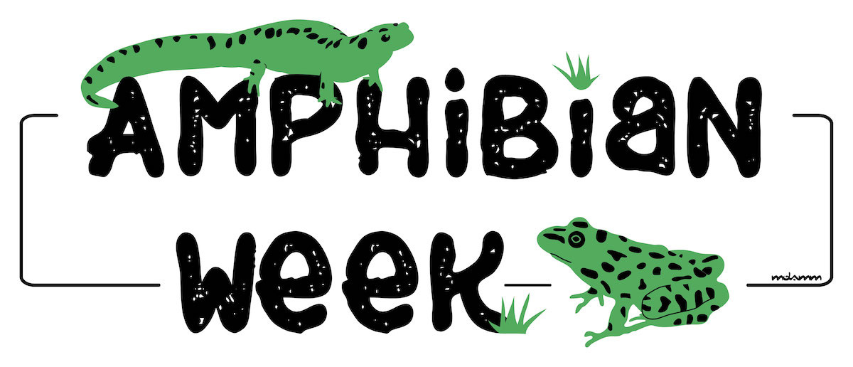 2025 Amphibian Week