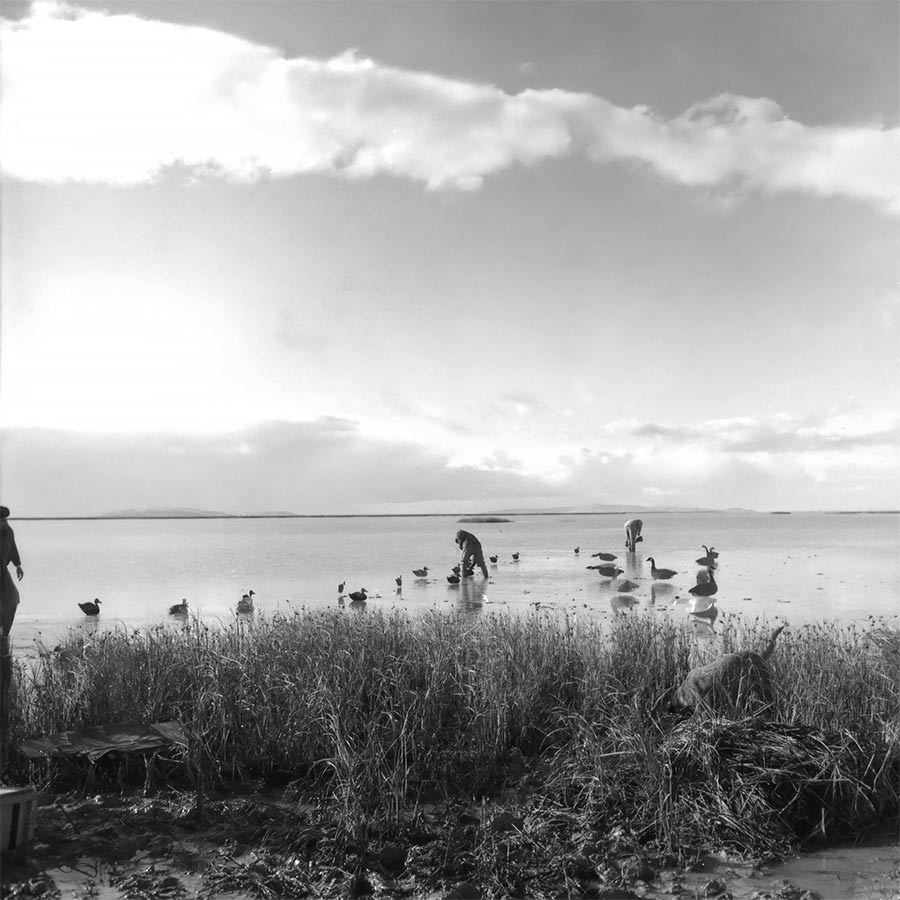 Duck hunters placing decoys in the water at Ogden Bay