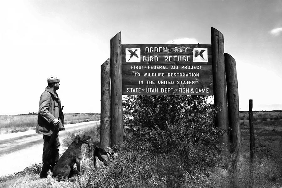 Waterfowl hunter, holding a rifle, with his dog at the entrance sign of the Ogden Bay Bird Refuge (now called the Ogden Bay Waterfowl Management Area)