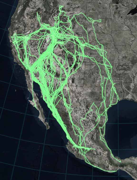 Pelicans stop in Iowa City on migration north