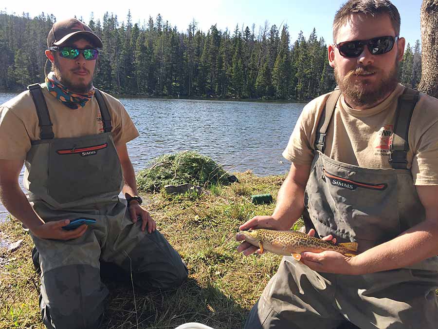 West Neck Creek Ramblings: 105 Years Old and Still a Viable Fish-Catcher