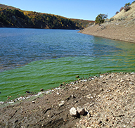 Jordanelle Reservoir with algal bloom