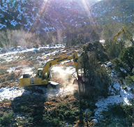 Construction equipment doing habitat restoration