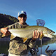 Angler holding a large lake trout at Flaming Gorge