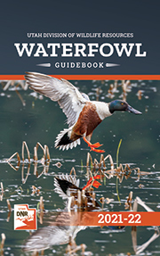 Waterfowl cover