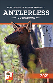 Antlerless hunt guidebook cover
