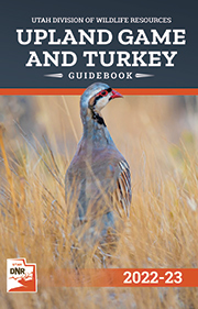 Upland Game and Turkey Guidebook cover