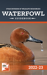 Waterfowl guidebook