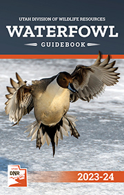 Waterfowl cover