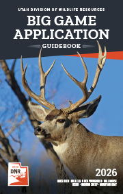 Big Game Application Guidebook