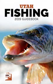 Utah Fishing Guidebook cover