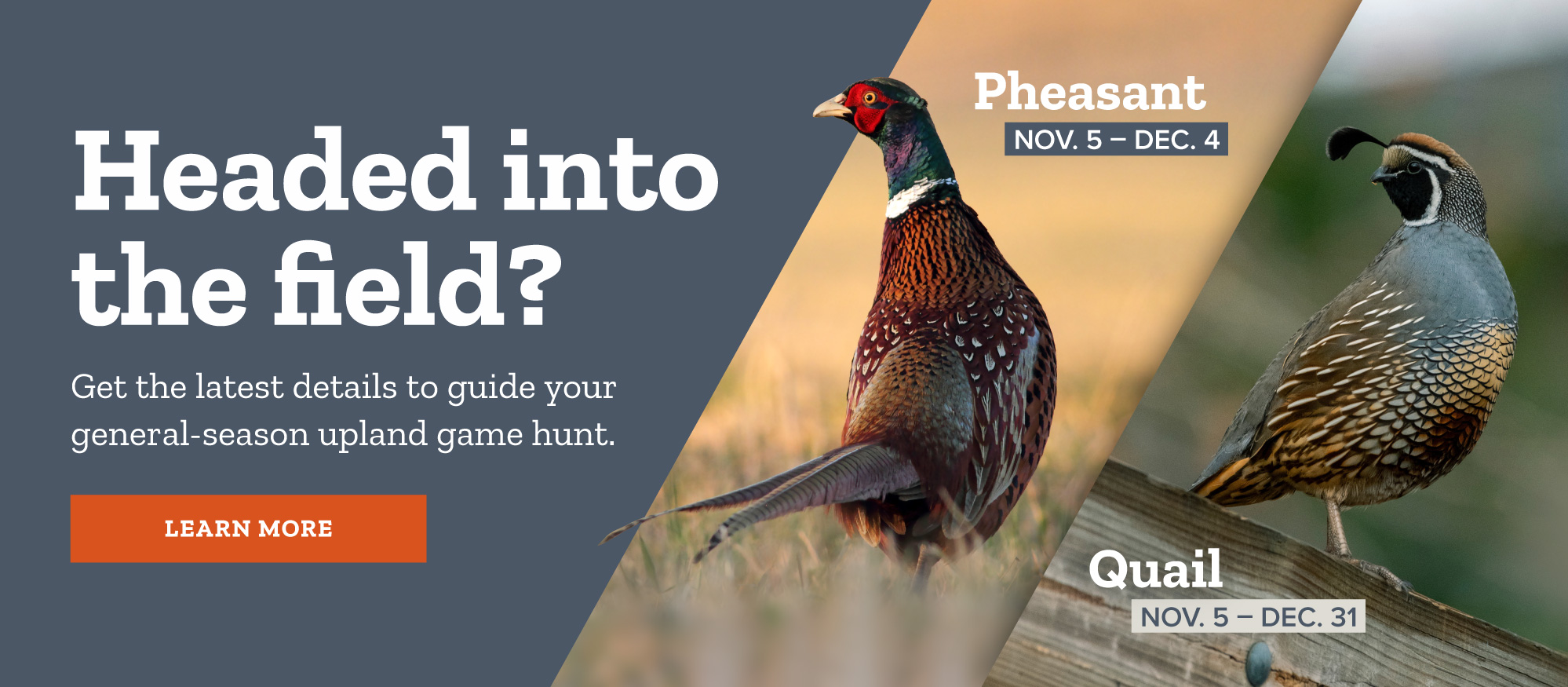 2022 pheasant and quail hunts: Get the latest details to guide your upland game hunt.