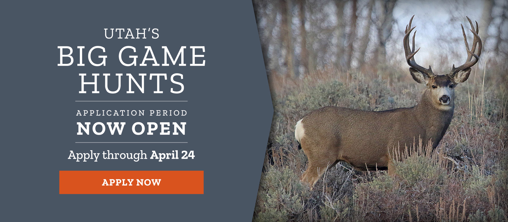 Utah's Big Game Hunt Application