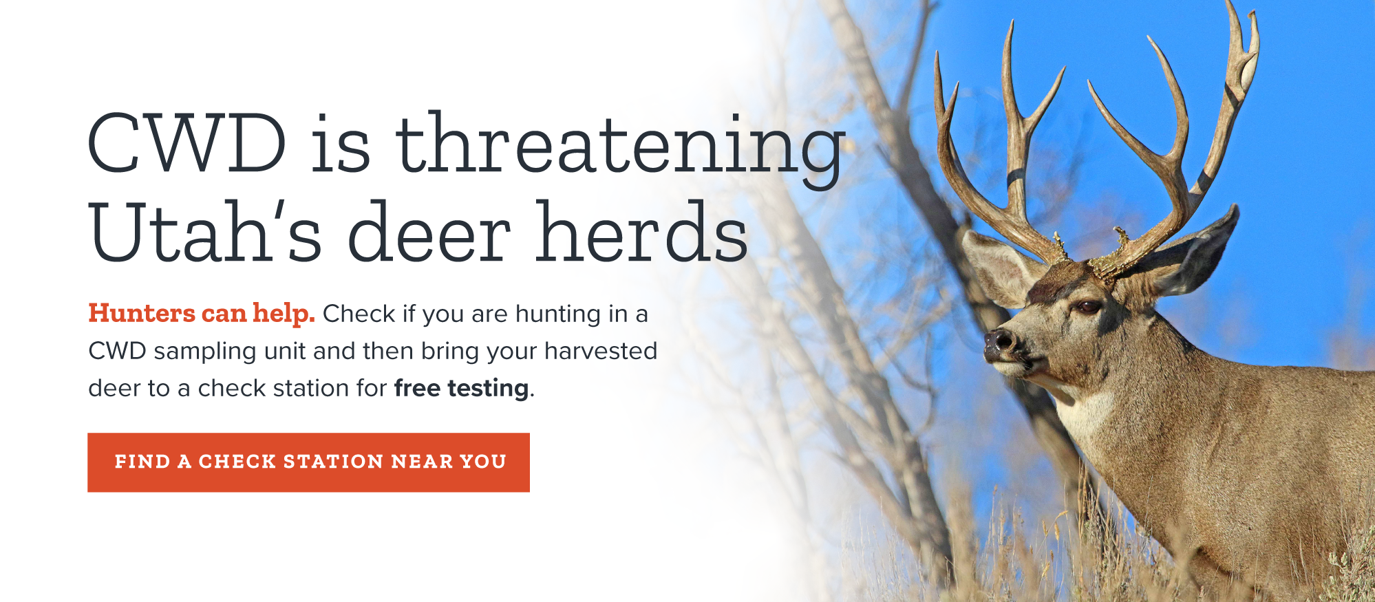 CWD is threatening deer