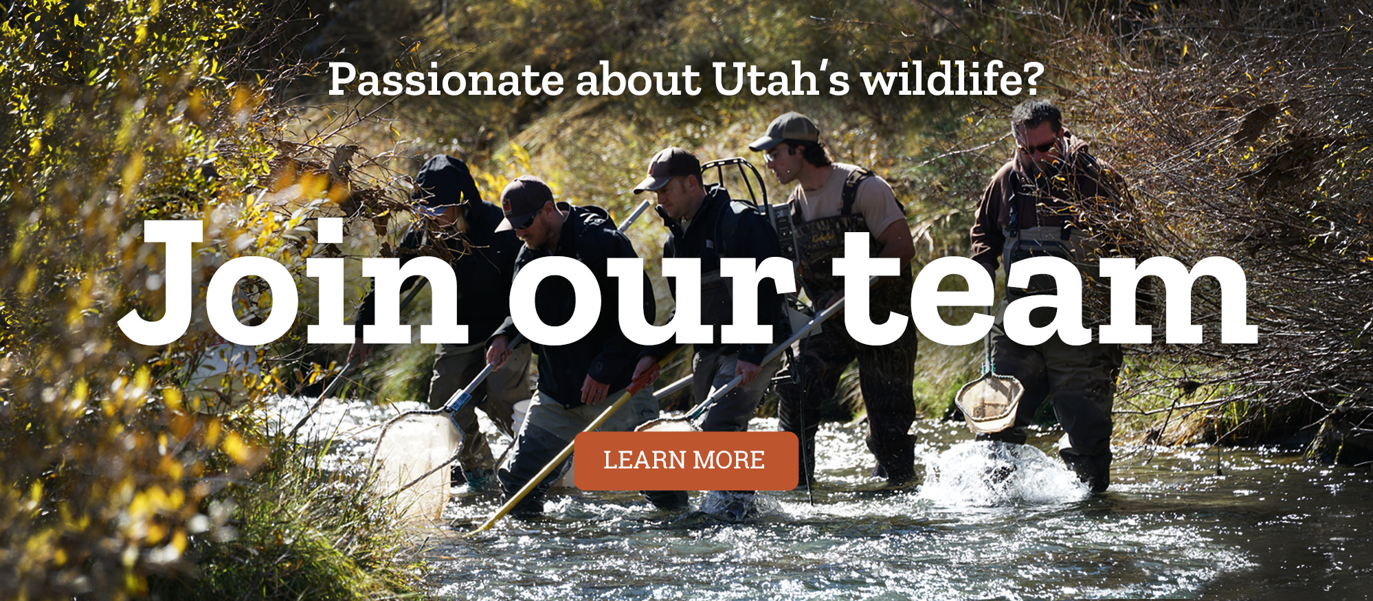 Passionate about Utah&apos;s wildlife? Join our team!