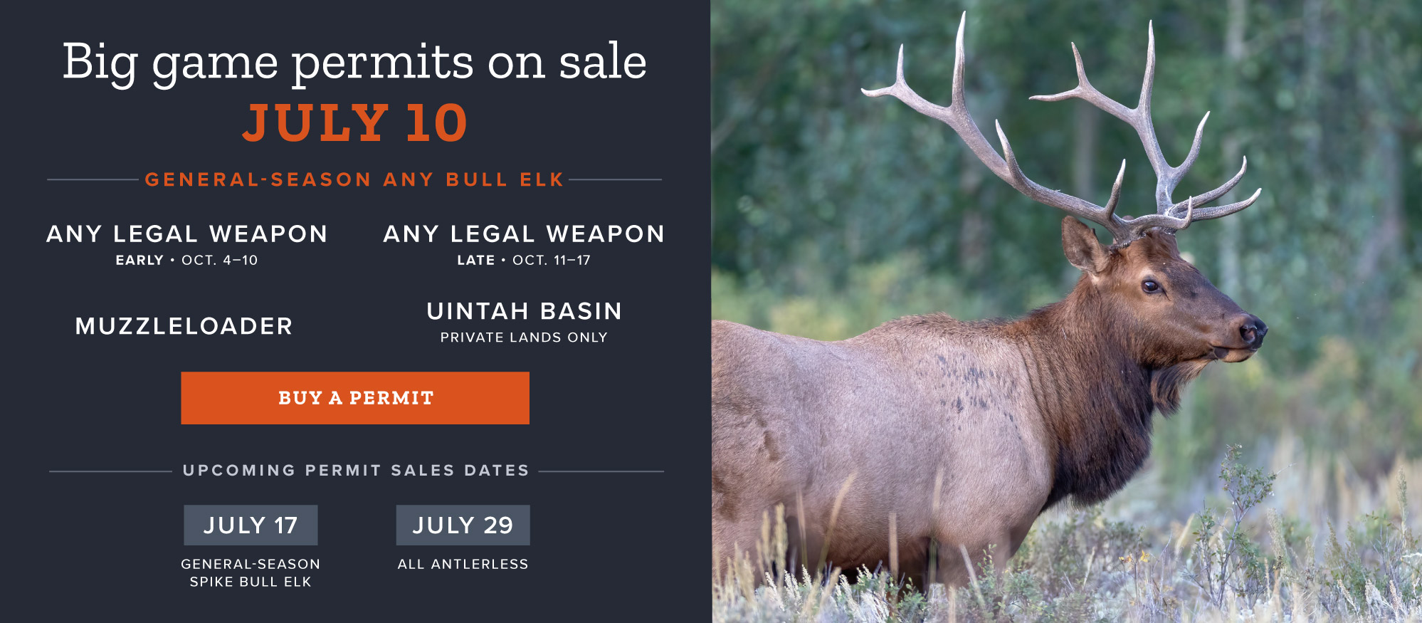 Remaining permit sales